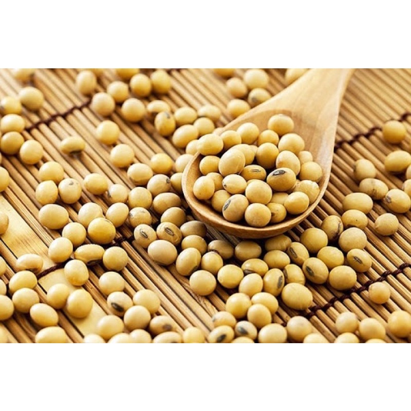 Combo 2kg đậu nành, đỗ tương nguyên hạt (tốt cho sức khoẻ).