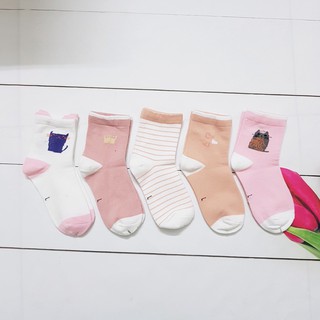 Set 5 đôi tất vớ dài xinh cho bé gái hình mèo