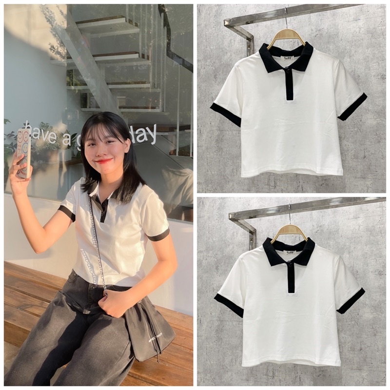 Áo croptop polo viền đen