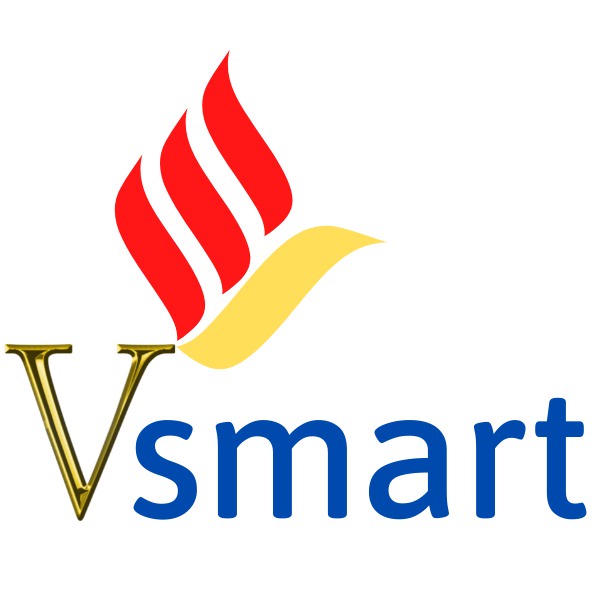 Vsmart_store_1991