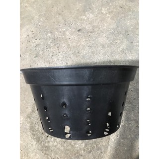 Combo 10 chậu nhựa đen trồng lan đường kính 25 cm lỗ tròn