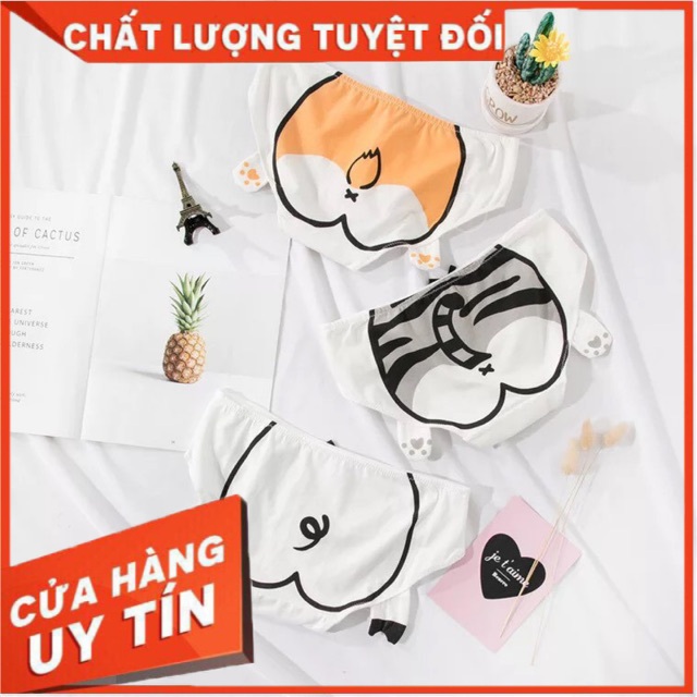 QUẦN LÓT HÌNH THÚ - QUẦN LÓT HÌNH THÚ DỄ THƯƠNG - Quần lót nữ - minhtrang.241993