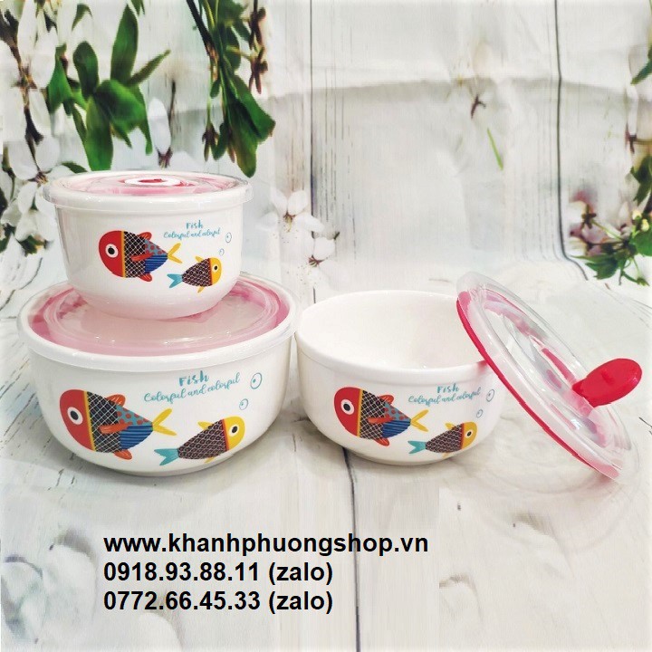 hộp đựng cơm - hộp đựng cơm