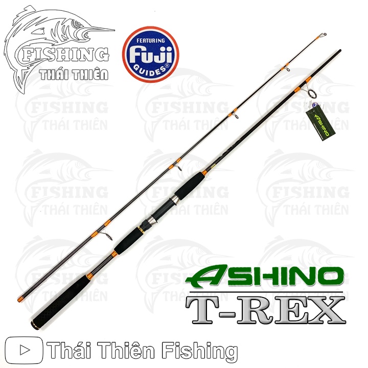 Cần Câu Cá Ashino T-REX Cần 2 Khúc Máy Đứng Khoen Fuji Thân Rỗng Cán Hở Dòng Mới 2m1, 2m4, 2m7, 3m0