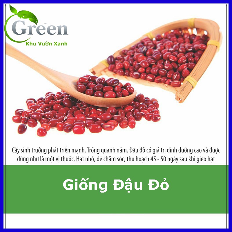 Hạt Giống Đậu Đỏ Sai Trái (50G)