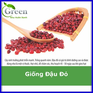 Hạt Giống Đậu Đỏ Sai Trái (50G)