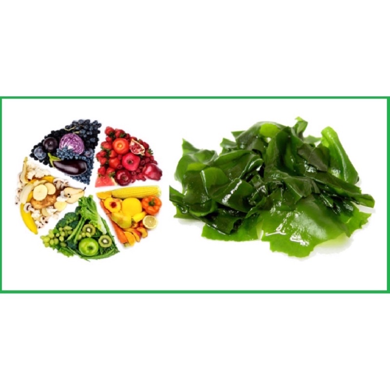 Viên uống vitamin tảo Nature’s Way  - Complete Daily Multivitamin