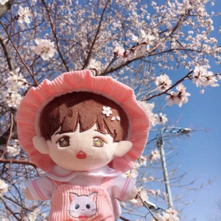 Set mèo cho doll 20cm