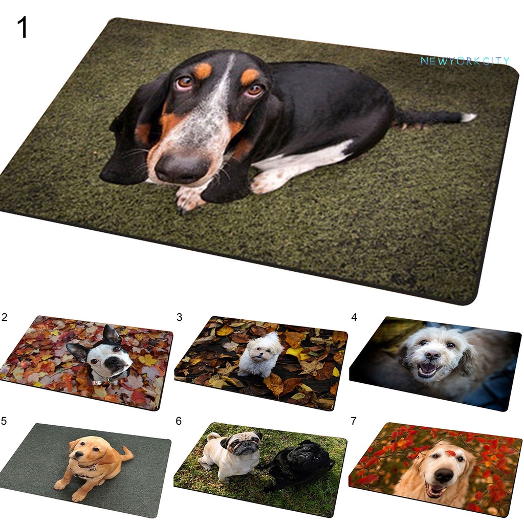 Thảm lót cửa chùi chân Chống Trượt In Hình Chú Chó Hiệu Ứng 3D