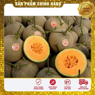 HẠT GIỐNG DƯA LƯỚI XANH RUỘT VÀNG