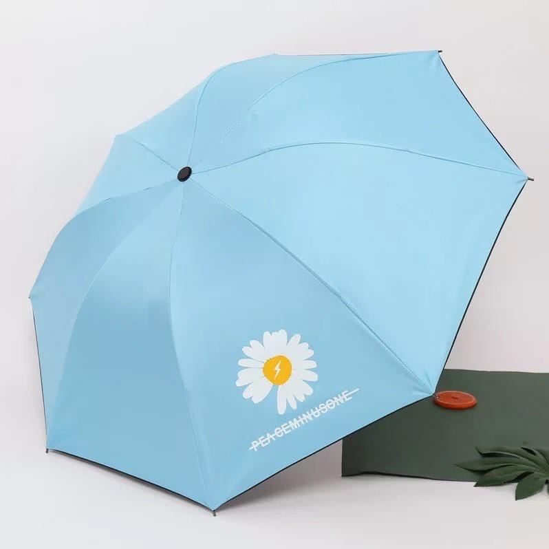 Ô DÙ HOA CÚC HỌA MI HÀN QUỐC CHỐNG TIA UV ( tuyển khách sỉ)