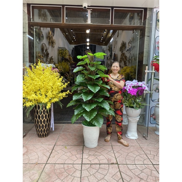 Cây giả, cây trầu bà cột 63 lá cao cấp trang trí ( tặng kèm keo dính lá)