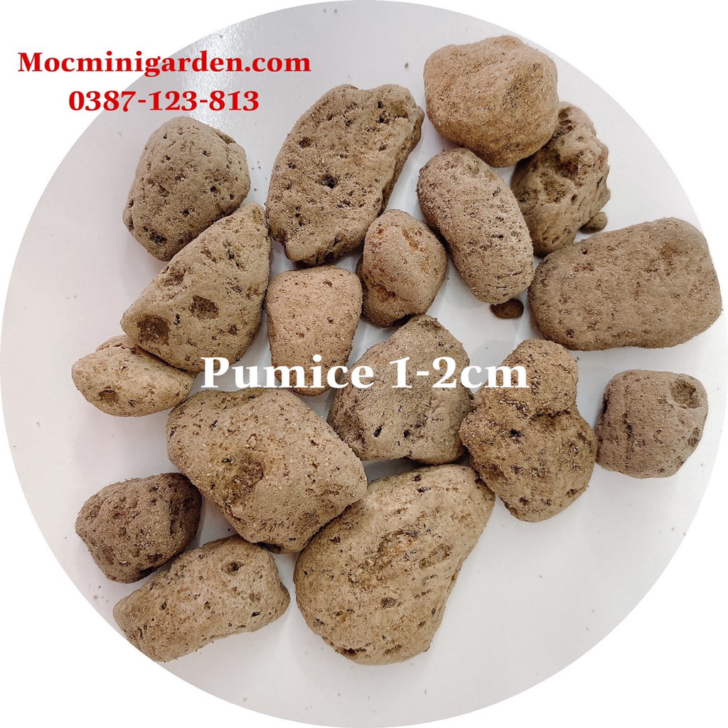 Đá Bọt Pumice Indonesia || Nhiều Kích Thước - Vật Tư Quan Trọng Trong Ngành Trồng Cây | Mocminigarden