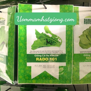 Hạt giống Cải bẹ mào gà RD101 (20g)