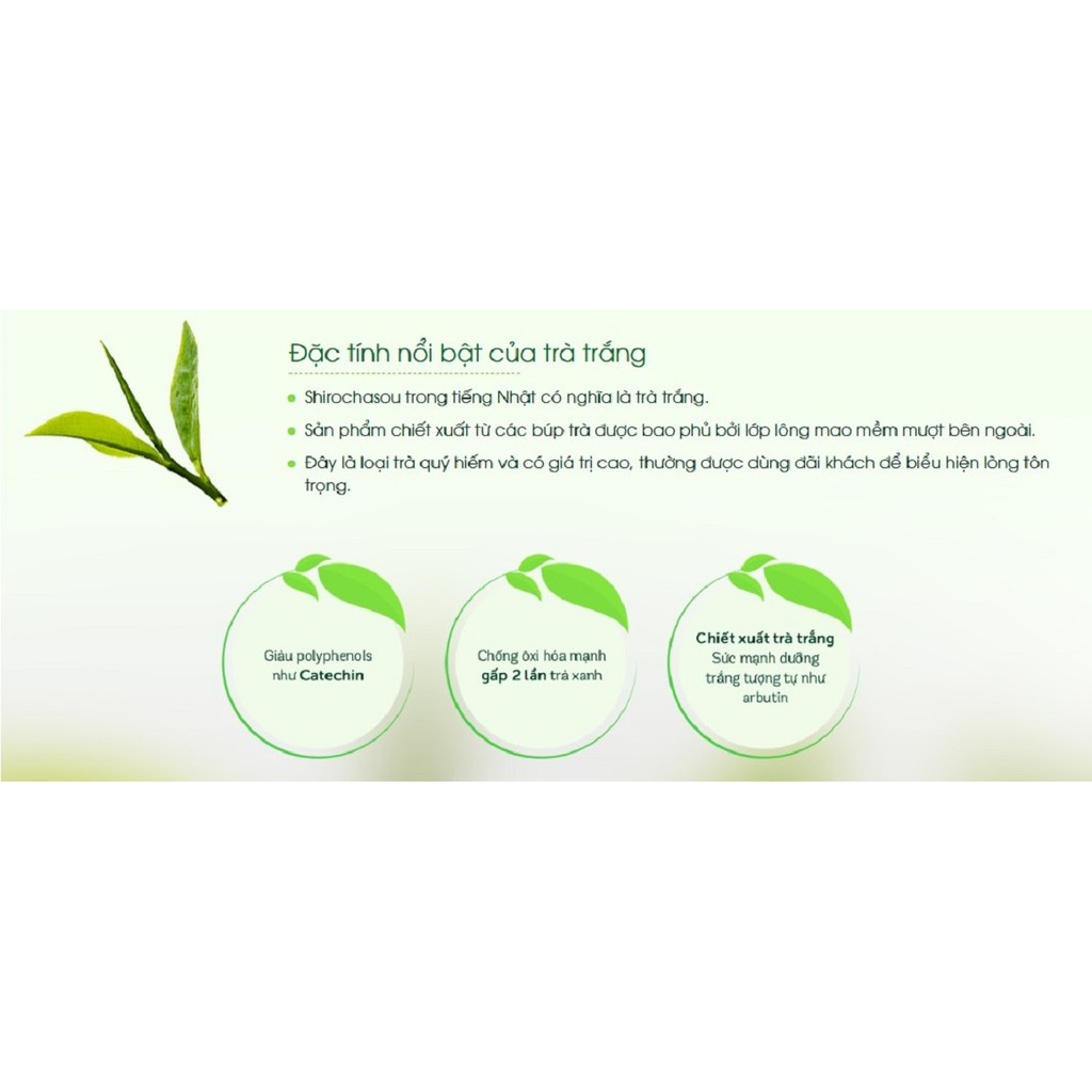 Sữa rửa mặt trà trắng Shirochasou White Tea Face Wash 120g | BigBuy360 - bigbuy360.vn
