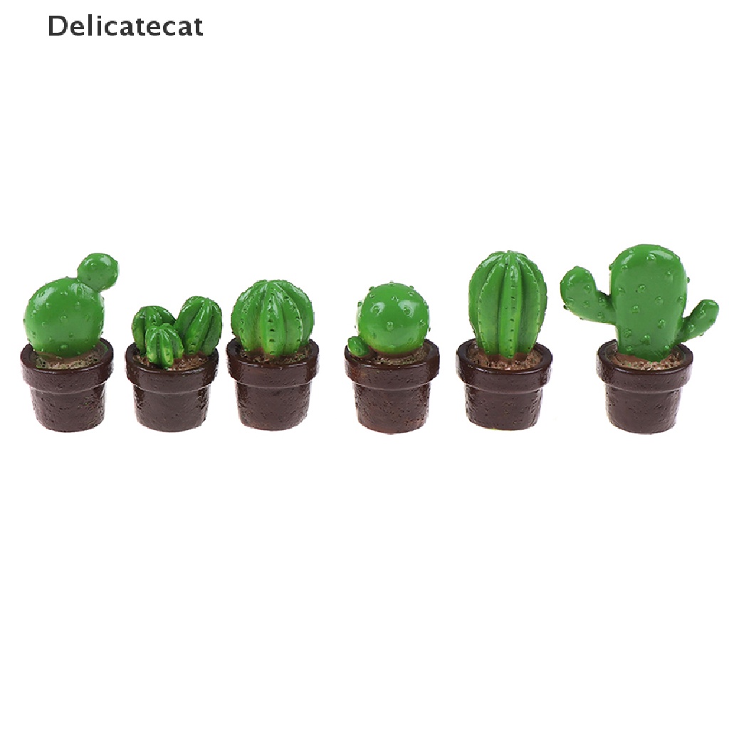 Bộ 5 mô hình cây xương rồng mini bằng nhựa thiết kế chân thực