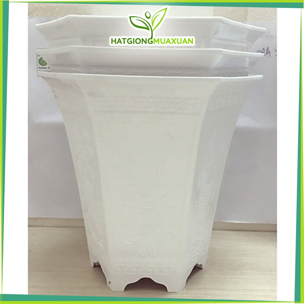 Chậu Nhựa Trồng Hoa, Cây Cảnh Lục Giác LGC - Số 1