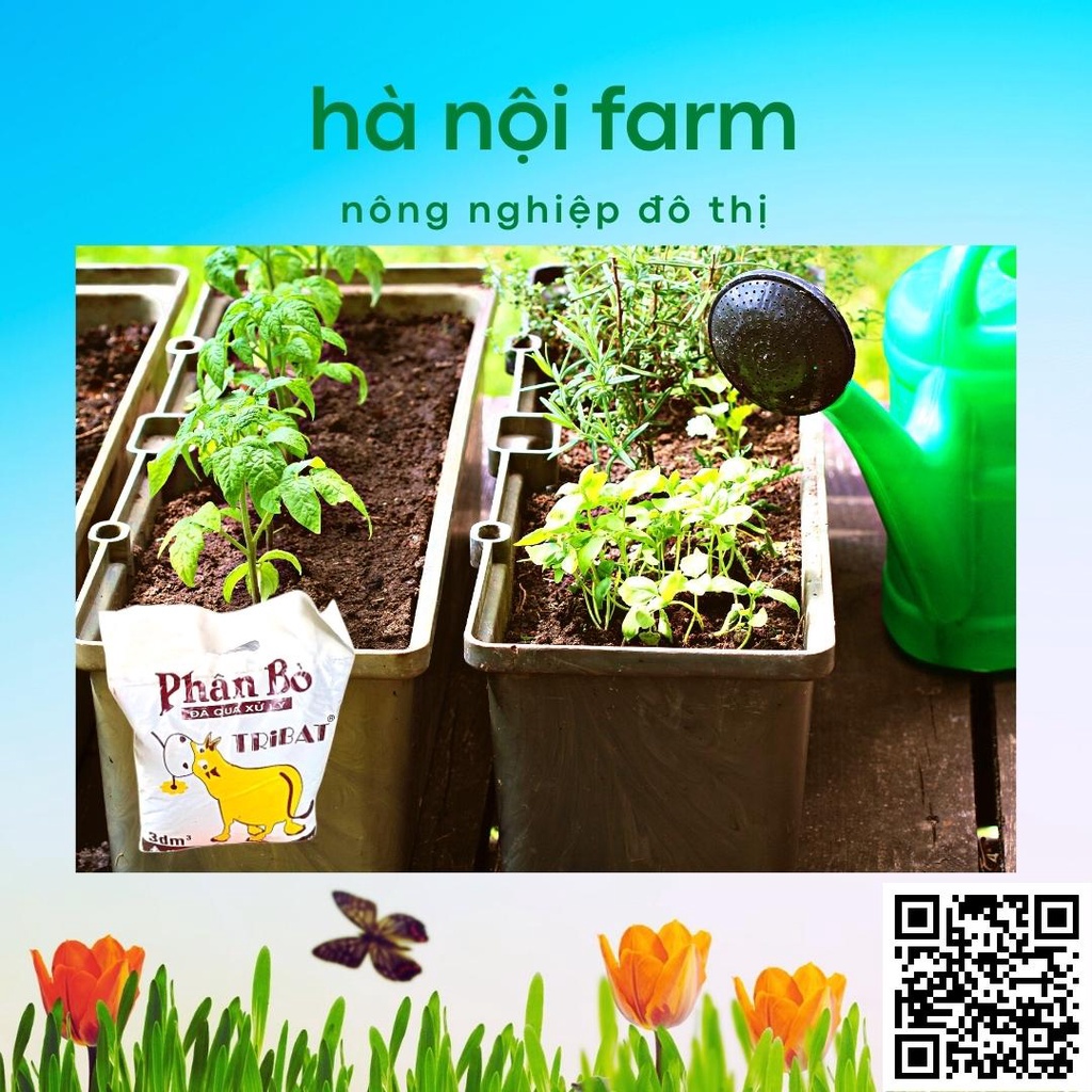 Phân bò khô, phân bò tự nhiên đã qua xử lý dùng cho mọi loại cây trồng gói 800g