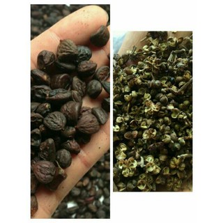 Combo 15 hạt dổi + 100g mắc khén