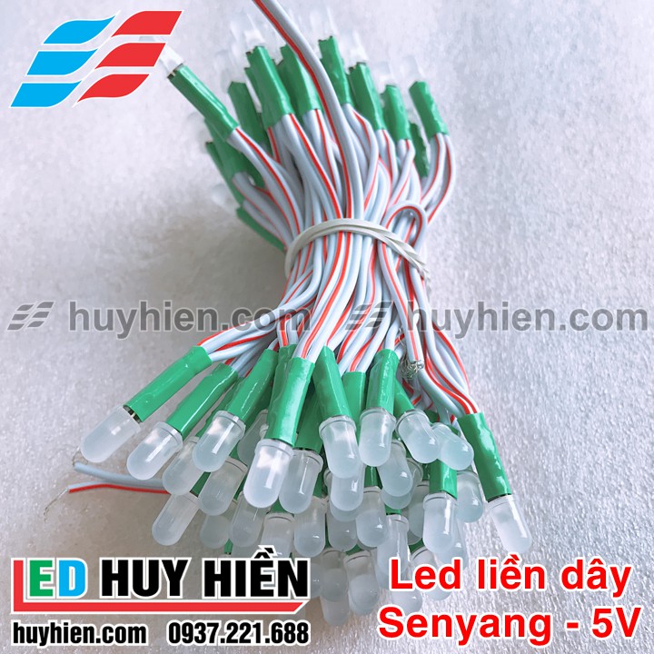 Cụm 100 bóng led liền dây JIYI (TTY) 5V các màu đơn sắc | BigBuy360 - bigbuy360.vn