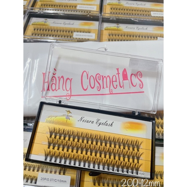 Mi Chùm vàng 10D -20D