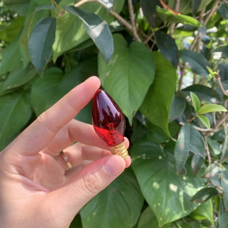 Hộp 50 Quả Nhót  Đỏ , Bóng Đèn Thờ Giá Rẻ