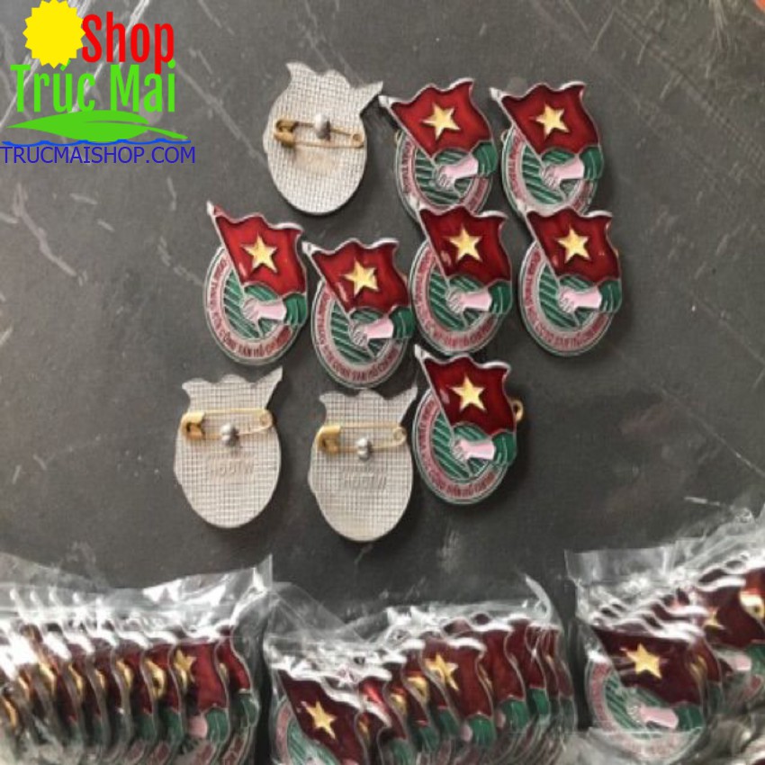 Huy Hiệu Đoàn Việt Nam
