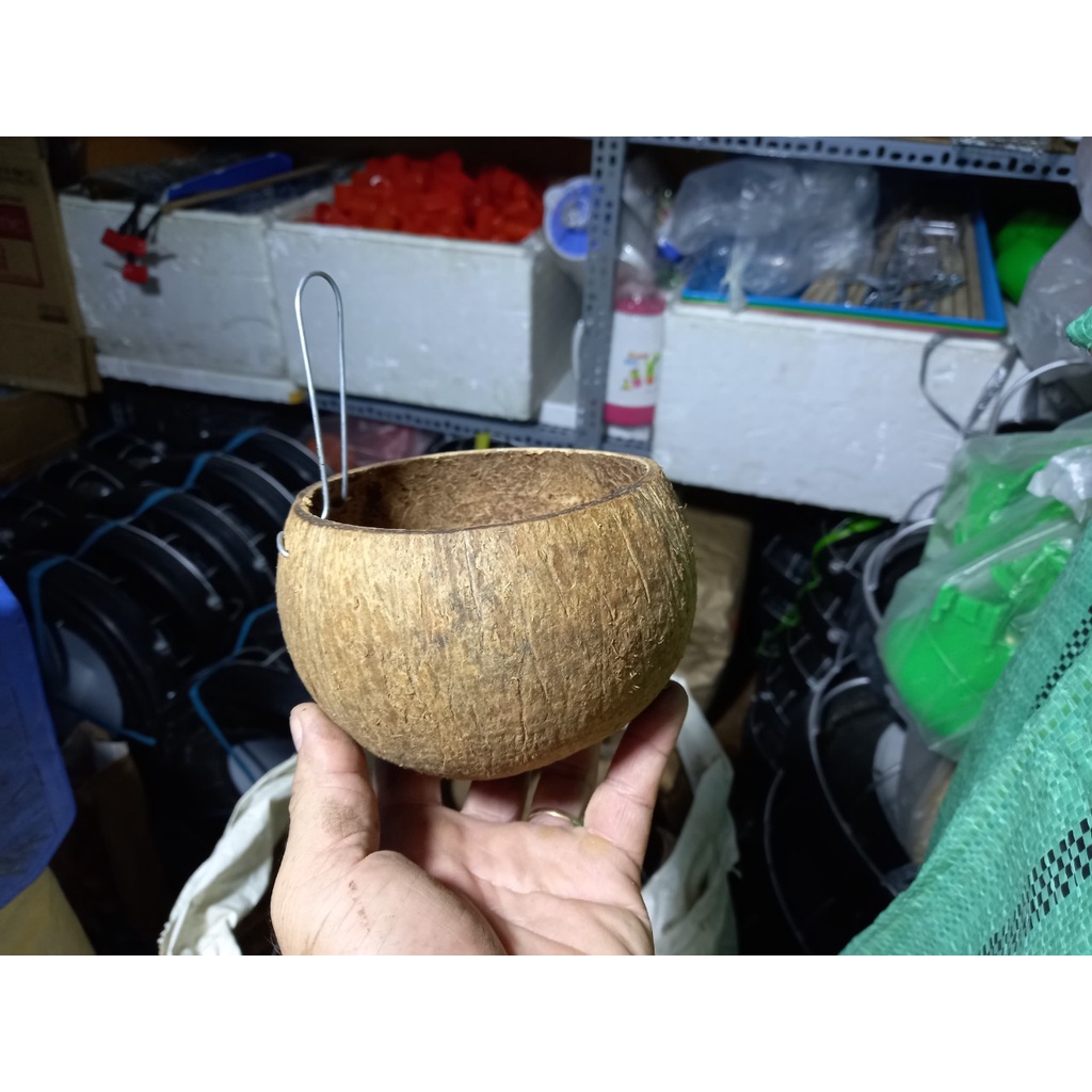 Combo 5 Gáo Dừa Cho Gà Ăn, Gáo Dừa Để Nước Uống Cho Gia Cầm
