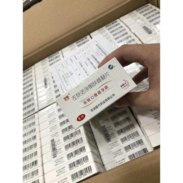 VIEN UONG TRANH THAI - Đài.