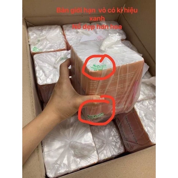 Giàn phun Viên đặc biệt ( Hàng chính hãng)