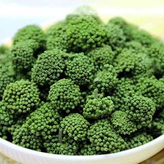 Nụ Hoa Tam Thất 100g