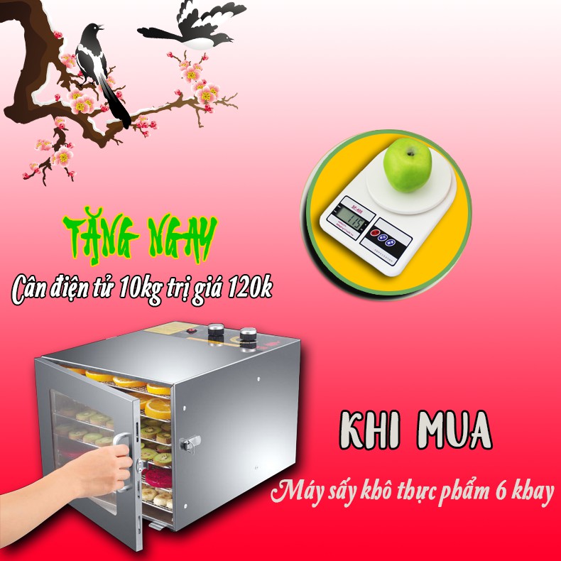 Máy sấy khô thực phẩm mini 6 khay inox