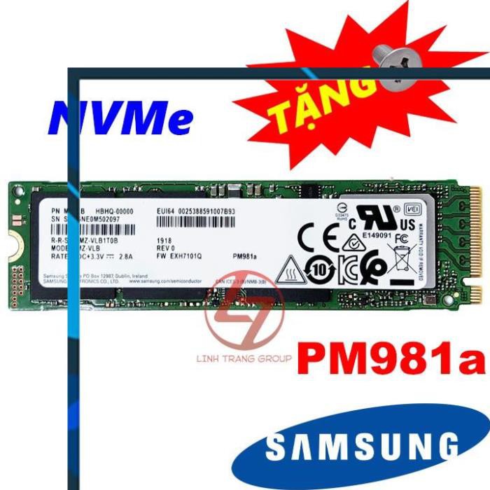 Ổ cứng SSD M.2 NVMe Samsung PM981a 256GB, 512GB - bảo hành 3 năm SD32 SD33