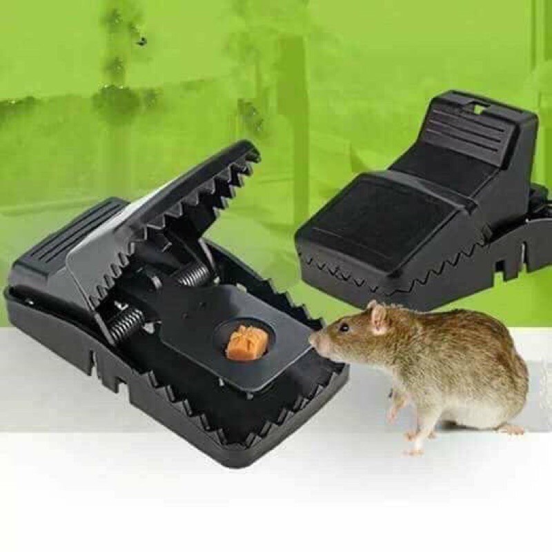 Kẹp bẫy chuột thông minh