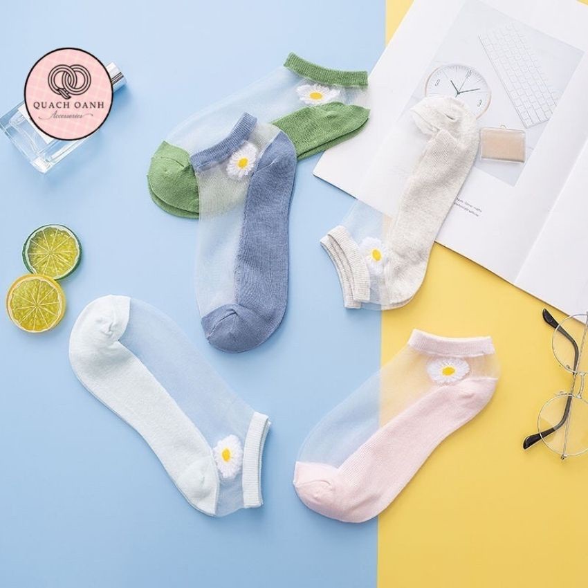 Combo Tất hoa cúc lưới mỏng thời trang - THCL1