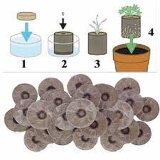 Combo 10 viên nén sơ dừa- ươm hạt, trồng cây