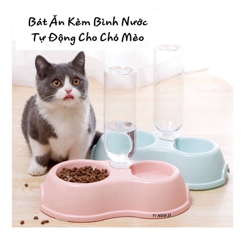 Bát Ăn Đôi Kèm Bình Nước - Bát Ăn Tự Động Cho Chó Mèo