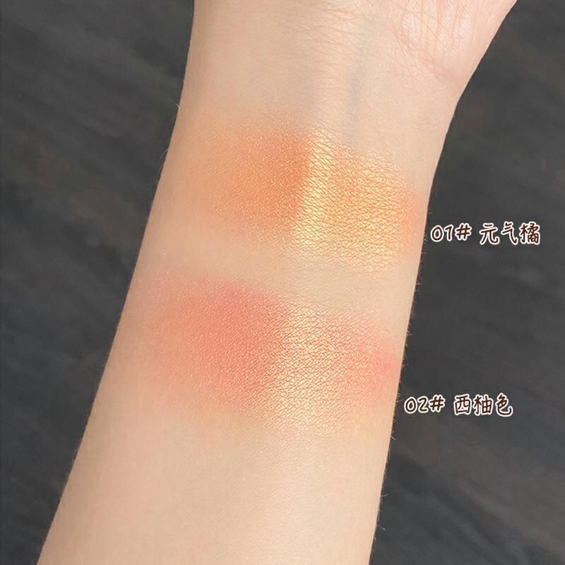 (Hàng Mới Về) Cọ Trang Điểm Tạo Khối / Bắt Sáng Cao Cấp