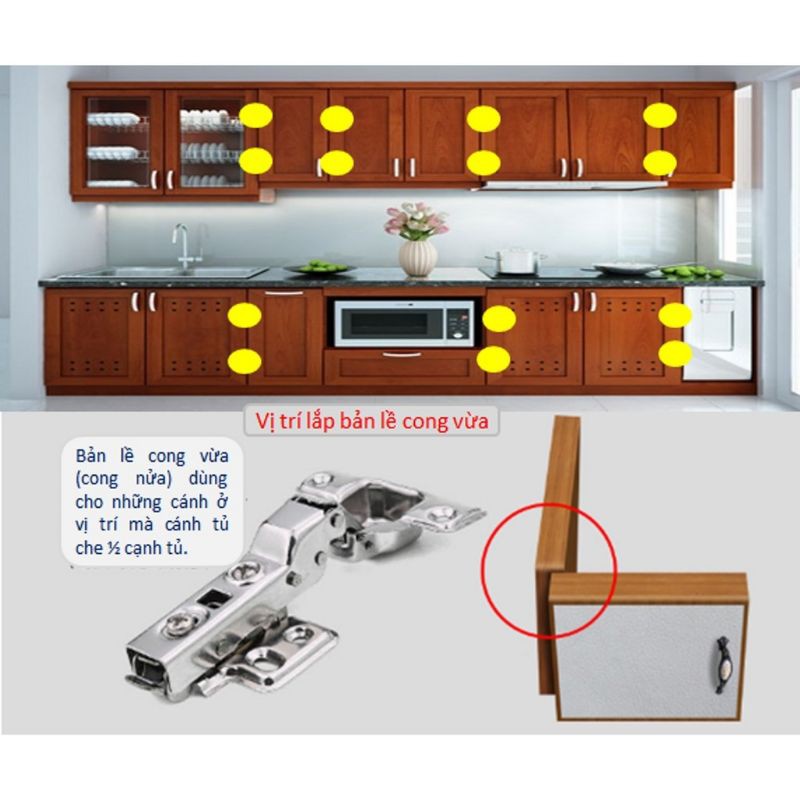 Bản lề giảm chấn TLN/ đế rời  INOX 304 SHA