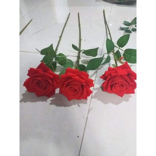 hoa hồng nhung cành 1 bông