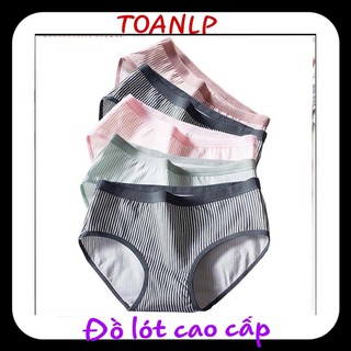 quần lót cotton kẻ co giãn 4 chiều( có size ) ms102