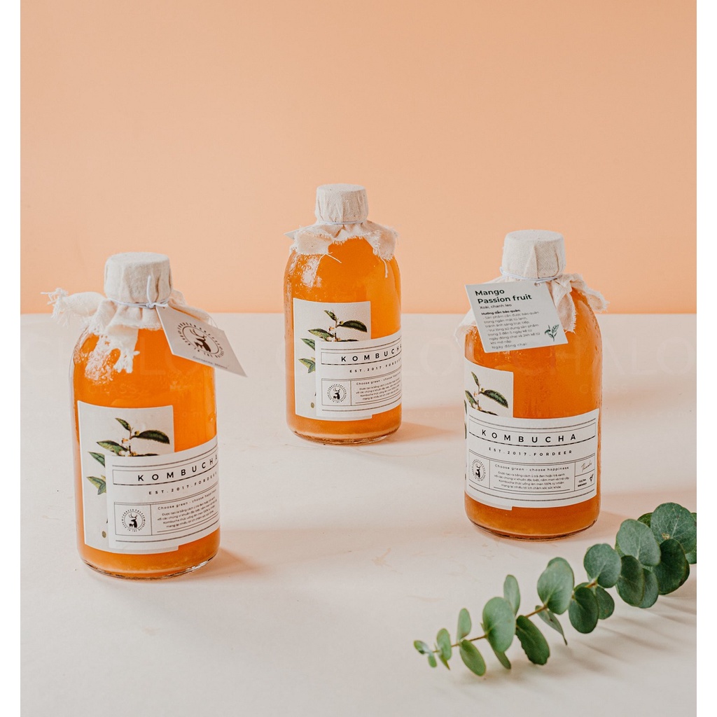 Chai thủy tinh dáng tròn nắp nhôm 350ml & 500ml - Đựng rượu & Kombucha - CT & CTR