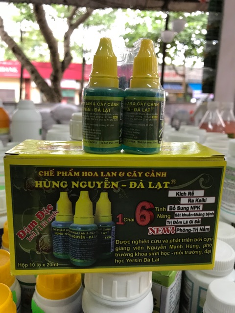 Chế phẩm Hùng Nguyễn-Đà Lạt