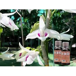 Phân bón lá N3M pro, ngâm hạt giống ☘️ kích thích Ra rễ, nẩy mầm cực mạnh N3M pro (100 ml)☘️