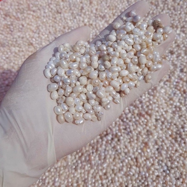 Bột ngọc trai nguyên chất 100% 100gr - trắng da, ngừa mụn, trẻ hoá , trang điểm | Bột Natural