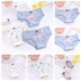 Sét 5 quần lót cotton siêu cute 😍