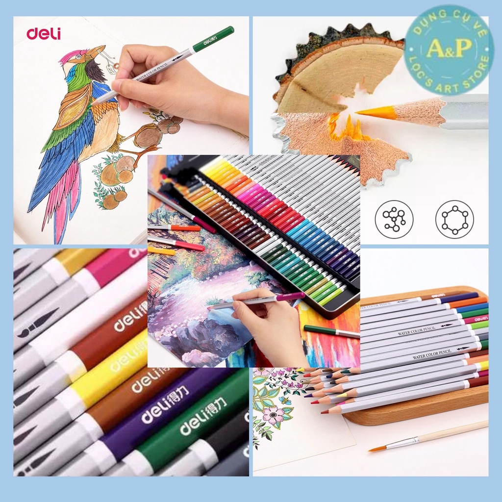 [Lộc's Art Store] BỘ CHÌ MÀU NƯỚC DELI HỘP THIẾC (24/36/48/72 màu)