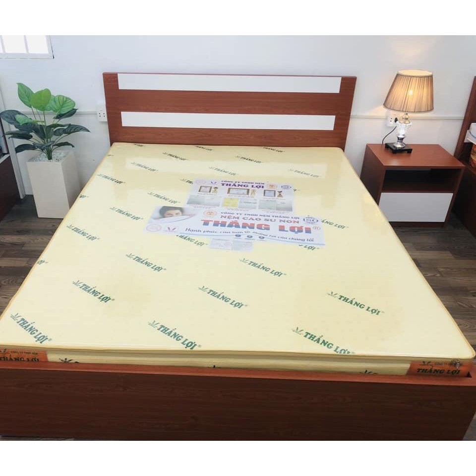 Nệm cao su non Thắng Lợi 5cm giá xưởng - bảo hành 15 năm chính hãng