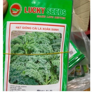HẠT GIỐNG CẢI XOĂN XANH KALE GÓI 20 HẠT