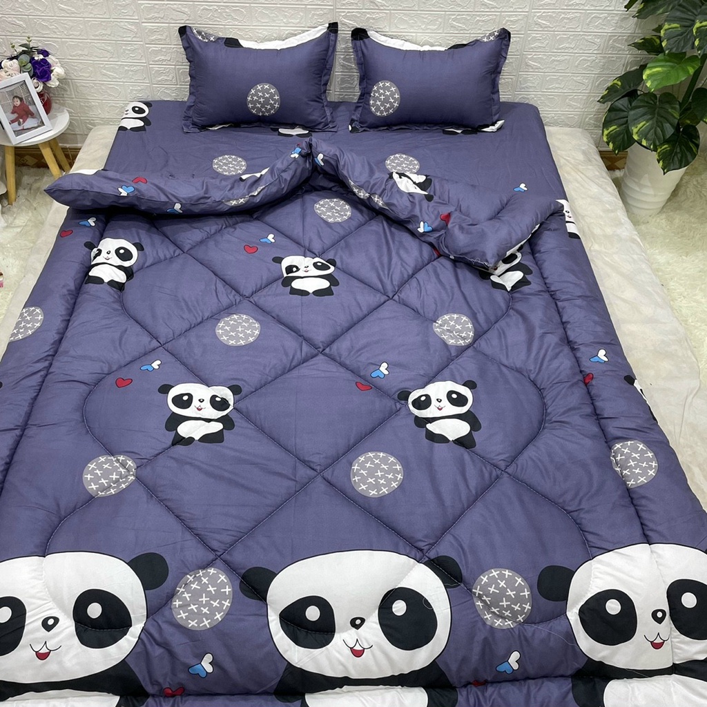 Chăn phao trần bông cotton poly m8x2m ( chát chọn mẫu)